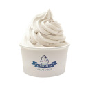 Produit pour yaourt glacé Sinigalia x 10 sachets